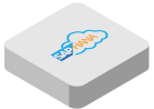 SAP Public Cloud